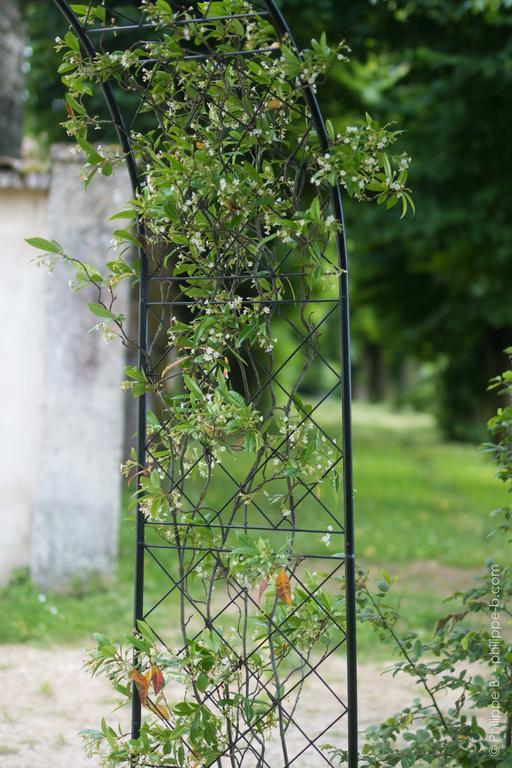 Les Hauts De Chalonne Guest house